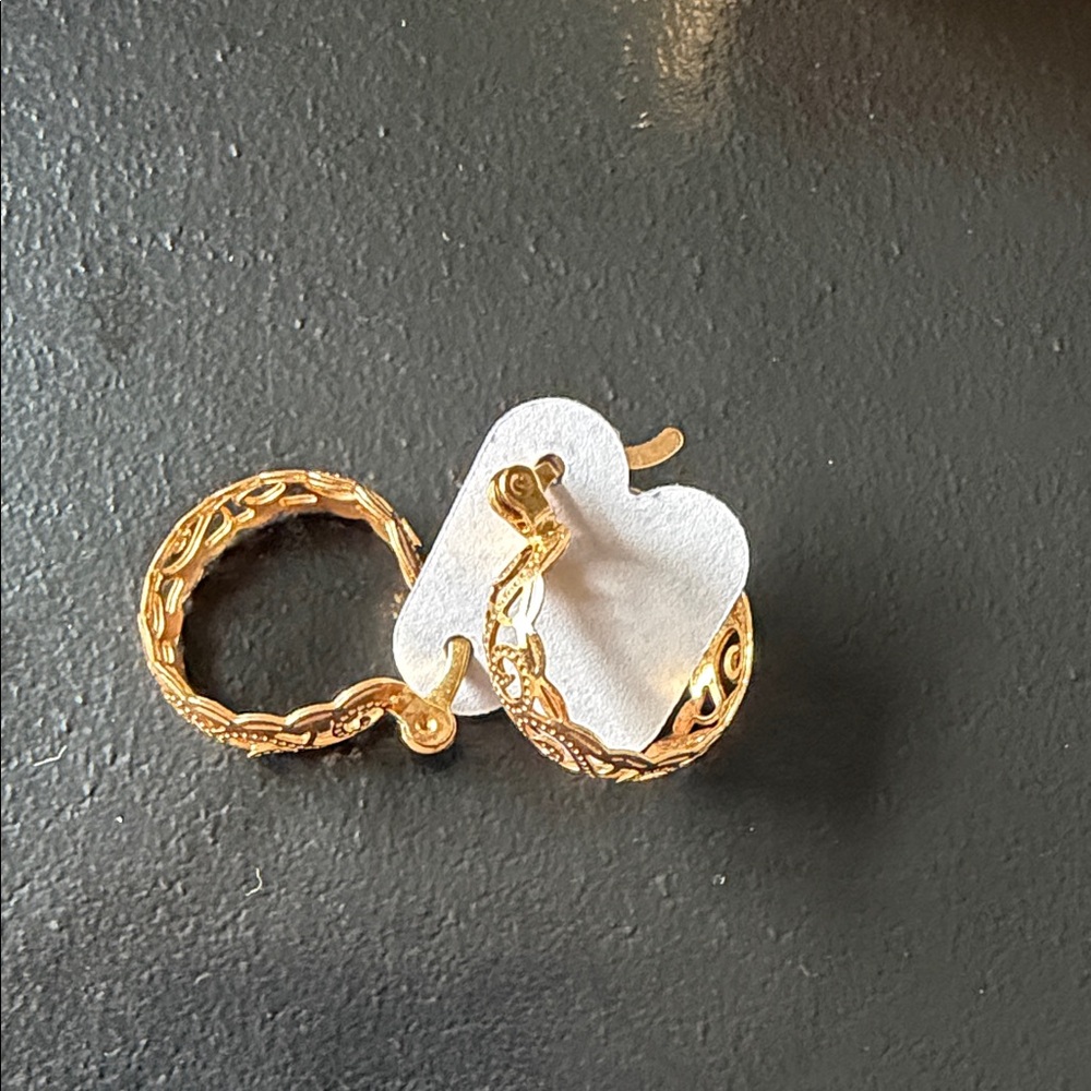 Elegant Gold Hoop Earrings platinum gold